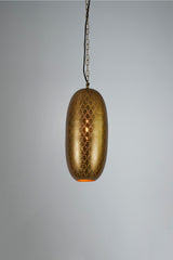 Anaconda Ceiling Pendant Light Brass